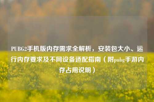 PUBG2手机版内存需求全解析，安装包大小、运行内存要求及不同设备适配指南（附pubg手游内存占用说明）