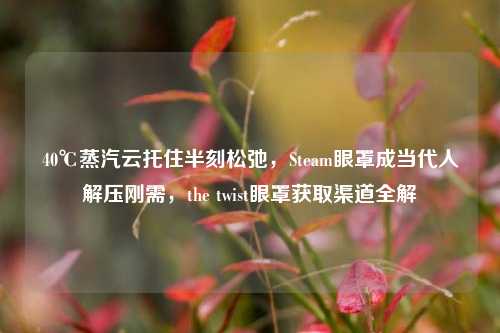 40℃蒸汽云托住半刻松弛，Steam眼罩成当代人解压刚需，the twist眼罩获取渠道全解