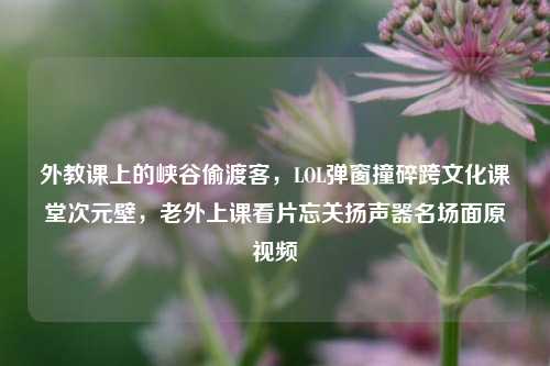 外教课上的峡谷偷渡客，LOL弹窗撞碎跨文化课堂次元壁，老外上课看片忘关扬声器名场面原视频