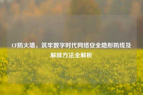 CF防火墙，筑牢数字时代网络安全隐形防线及解除方法全解析