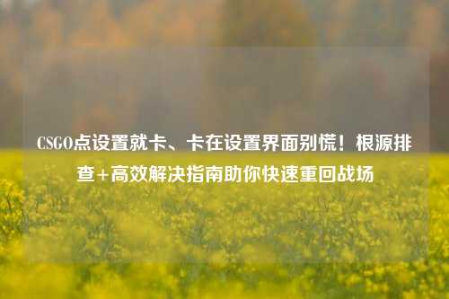 CSGO点设置就卡、卡在设置界面别慌！根源排查+高效解决指南助你快速重回战场