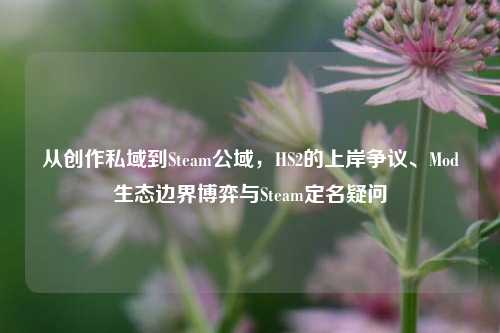 从创作私域到Steam公域，HS2的上岸争议、Mod生态边界博弈与Steam定名疑问