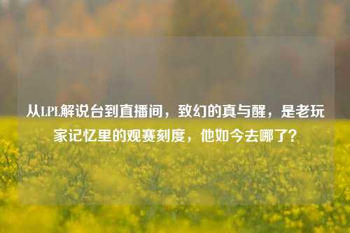 从LPL解说台到直播间，致幻的真与醒，是老玩家记忆里的观赛刻度，他如今去哪了？