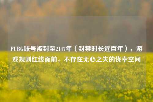 PUBG账号被封至2147年（封禁时长近百年），游戏规则红线面前，不存在无心之失的侥幸空间