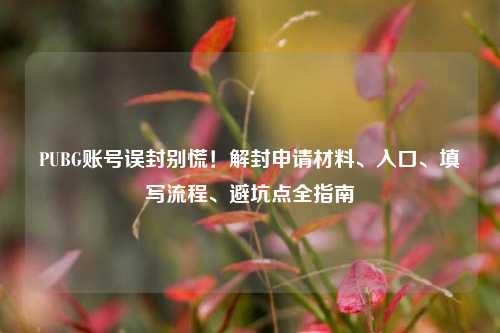 PUBG账号误封别慌！解封申请材料、入口、填写流程、避坑点全指南