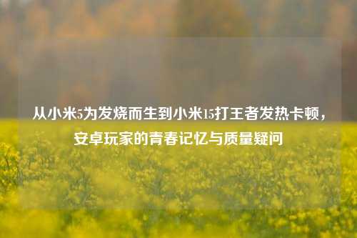从小米5为发烧而生到小米15打王者发热卡顿，安卓玩家的青春记忆与质量疑问