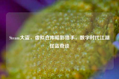Steam大盗，虚拟仓库暗影猎手，数字时代江湖怪盗奇谈