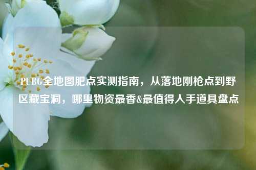 PUBG全地图肥点实测指南,从落地刚枪点到野区藏宝洞,哪里物资最香&最值得入手道具盘点