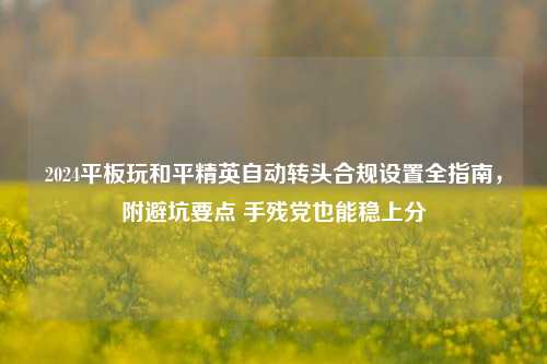 2024平板玩和平精英自动转头合规设置全指南，附避坑要点 手残党也能稳上分