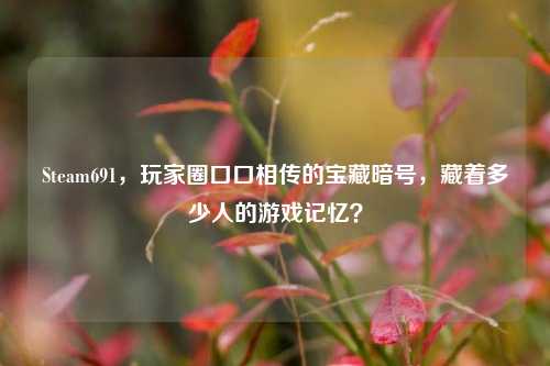 Steam691，玩家圈口口相传的宝藏暗号，藏着多少人的游戏记忆？