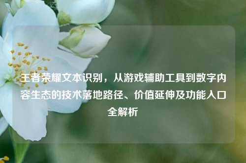 王者荣耀文本识别，从游戏辅助工具到数字内容生态的技术落地路径、价值延伸及功能入口全解析