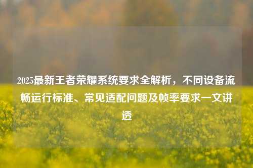 2025最新王者荣耀系统要求全解析，不同设备流畅运行标准、常见适配问题及帧率要求一文讲透