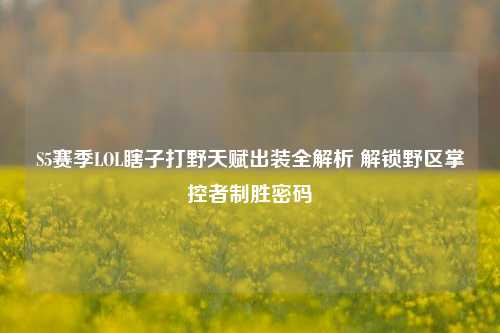 S5赛季LOL瞎子打野天赋出装全解析 解锁野区掌控者制胜密码