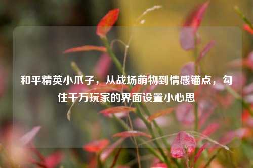 和平精英小爪子，从战场萌物到情感锚点，勾住千万玩家的界面设置小心思