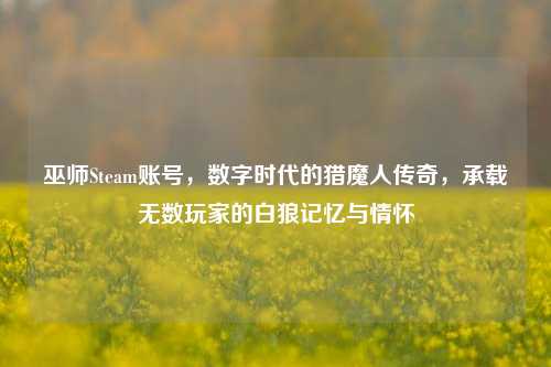 巫师Steam账号，数字时代的猎魔人传奇，承载无数玩家的白狼记忆与情怀
