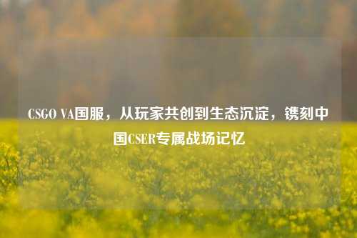 CSGO VA国服，从玩家共创到生态沉淀，镌刻中国CSER专属战场记忆