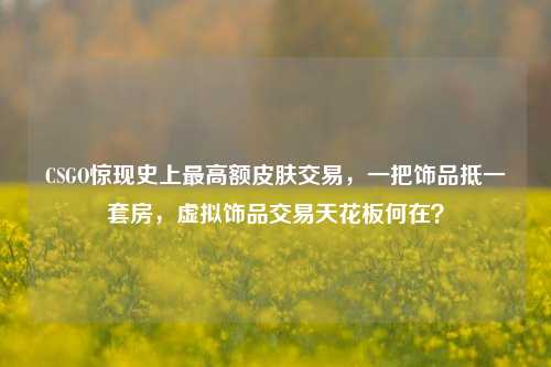 CSGO惊现史上最高额皮肤交易，一把饰品抵一套房，虚拟饰品交易天花板何在？