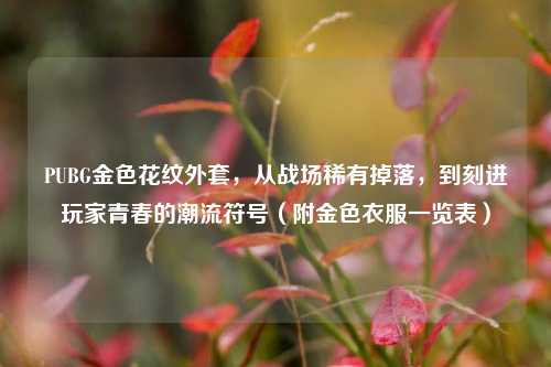 PUBG金色花纹外套,从战场稀有掉落,到刻进玩家青春的潮流符号(附金色衣服一览表)
