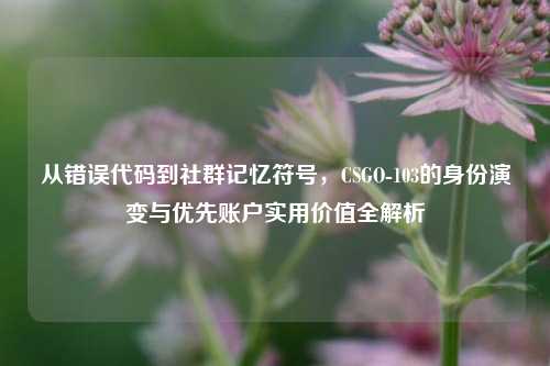 从错误代码到社群记忆符号，CSGO-103的身份演变与优先账户实用价值全解析