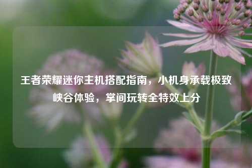 王者荣耀迷你主机搭配指南，小机身承载极致峡谷体验，掌间玩转全特效上分