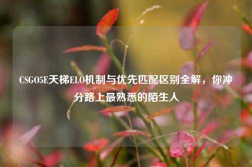 CSGO5E天梯ELO机制与优先匹配区别全解，你冲分路上最熟悉的陌生人