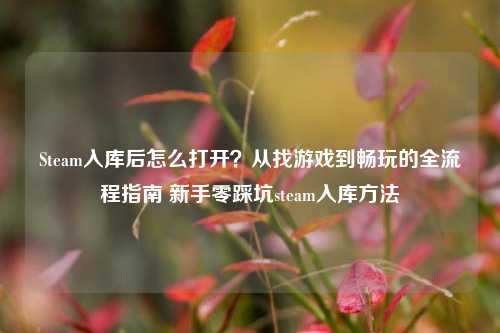 Steam入库后怎么打开？从找游戏到畅玩的全流程指南 新手零踩坑steam入库方法