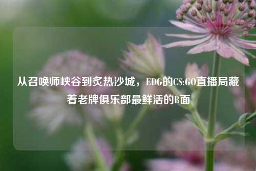从召唤师峡谷到炙热沙城，EDG的CS:GO直播局藏着老牌俱乐部最鲜活的B面