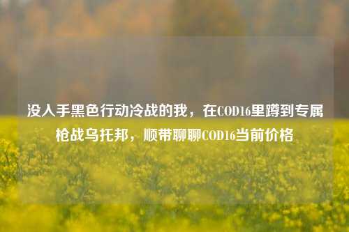 没入手黑色行动冷战的我，在COD16里蹲到专属枪战乌托邦，顺带聊聊COD16当前价格