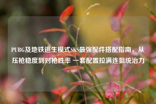 PUBG及地铁逃生模式SKS最强配件搭配指南,从压枪稳度到对枪胜率 一套配置拉满连狙统治力