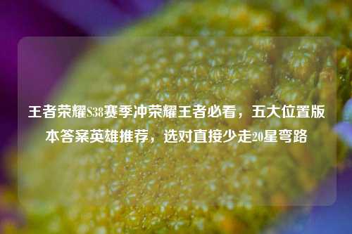 王者荣耀S38赛季冲荣耀王者必看,五大位置版本答案英雄推荐,选对直接少走20星弯路