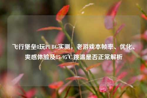 飞行堡垒8玩PUBG实测，老游戏本帧率、优化、爽感体验及85-95℃跳温是否正常解析