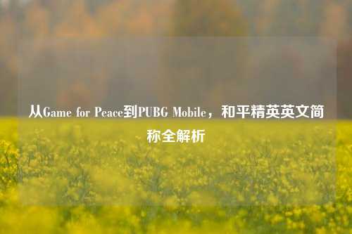 从Game for Peace到PUBG Mobile,和平精英英文简称全解析