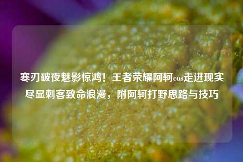 寒刃破夜魅影惊鸿！王者荣耀阿轲cos走进现实尽显刺客致命浪漫，附阿轲打野思路与技巧