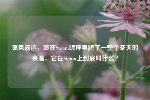 银色遥远,藏在Steam昵称里跨了一整个冬天的余温,它在Steam上到底叫什么?