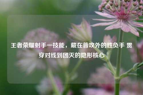 王者荣耀射手一技能，藏在普攻外的胜负手 贯穿对线到团灭的隐形核心
