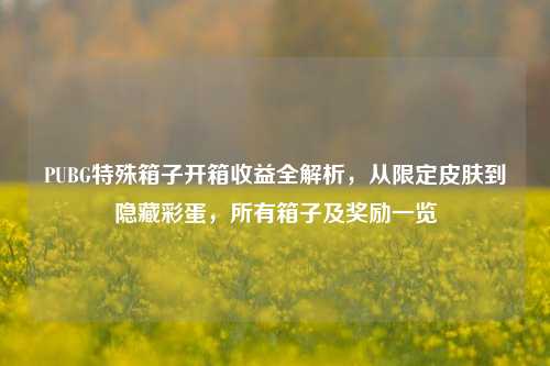 PUBG特殊箱子开箱收益全解析，从限定皮肤到隐藏彩蛋，所有箱子及奖励一览