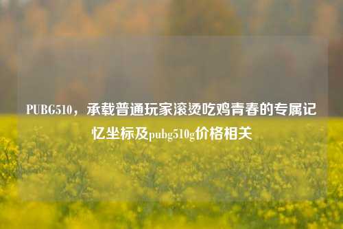 PUBG510，承载普通玩家滚烫吃鸡青春的专属记忆坐标及pubg510g价格相关