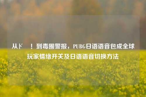 从ド勝！到毒圈警报，PUBG日语语音包成全球玩家情绪开关及日语语音切换方法