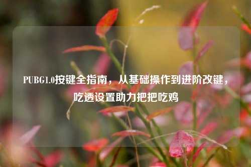 PUBG1.0按键全指南,从基础操作到进阶改键,吃透设置助力把把吃鸡