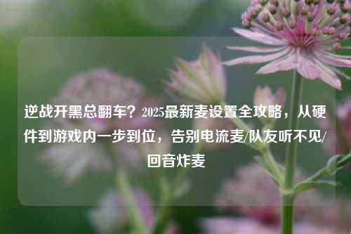 逆战开黑总翻车？2025最新麦设置全攻略，从硬件到游戏内一步到位，告别电流麦/队友听不见/回音炸麦