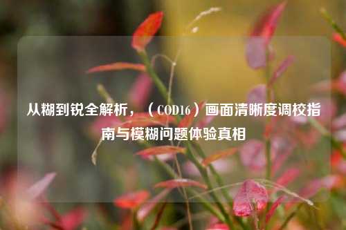 从糊到锐全解析，（COD16）画面清晰度调校指南与模糊问题体验真相