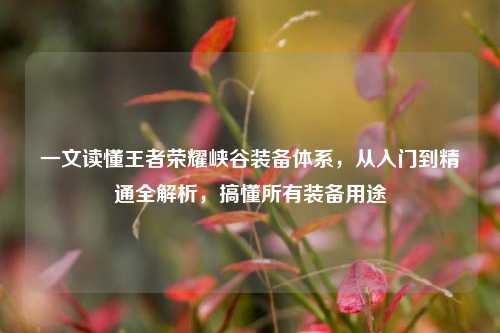 一文读懂王者荣耀峡谷装备体系，从入门到精通全解析，搞懂所有装备用途