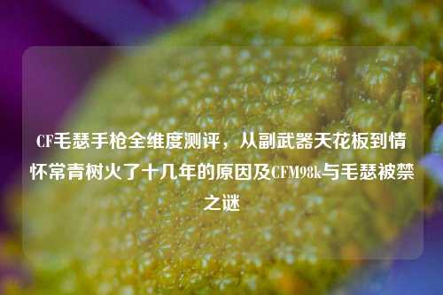 CF毛瑟手枪全维度测评，从副武器天花板到情怀常青树火了十几年的原因及CFM98k与毛瑟被禁之谜
