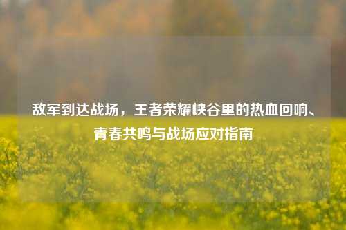 敌军到达战场，王者荣耀峡谷里的热血回响、青春共鸣与战场应对指南
