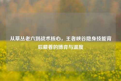从草丛老六到战术核心，王者峡谷隐身技能背后藏着的博弈与温度