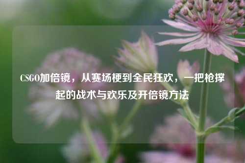 CSGO加倍镜，从赛场梗到全民狂欢，一把枪撑起的战术与欢乐及开倍镜方法