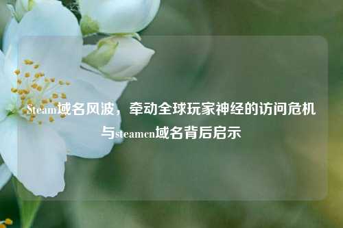 Steam域名风波，牵动全球玩家神经的访问危机与steamcn域名背后启示