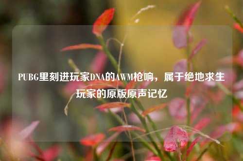 PUBG里刻进玩家DNA的AWM枪响，属于绝地求生玩家的原版原声记忆