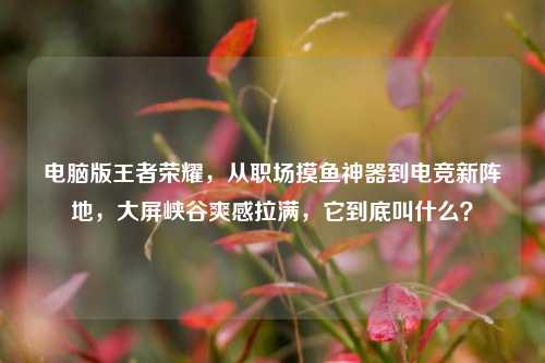 电脑版王者荣耀,从职场摸鱼神器到电竞新阵地,大屏峡谷爽感拉满,它到底叫什么?