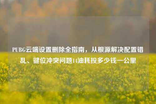 PUBG云端设置删除全指南，从根源解决配置错乱、键位冲突问题14油耗投多少钱一公里